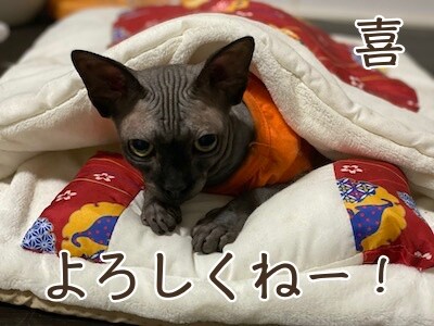 喜134