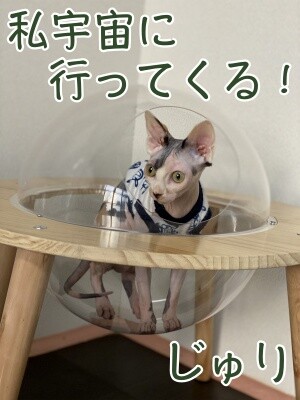 じゅり87