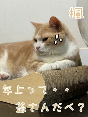 楓1359