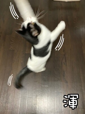 渾232
