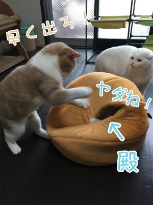 みんな713