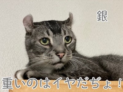 銀389