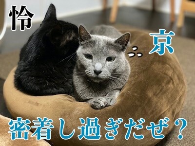みんな608