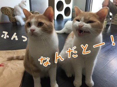 みんな1285