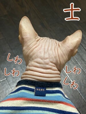 士121