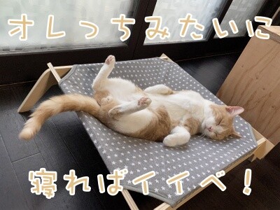 楓672