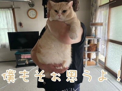 風太13