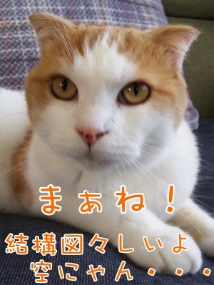 まお83
