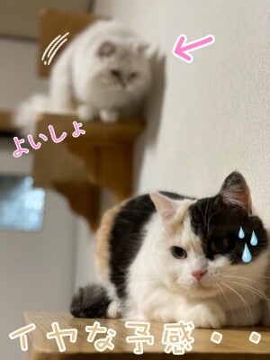 みんな2004