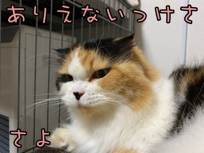 さよ112