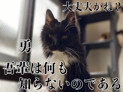 勇119