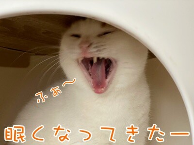 りよ39
