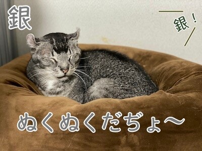 銀42
