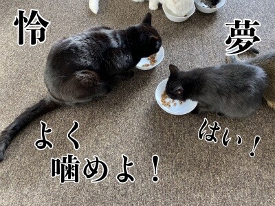 みんな1391