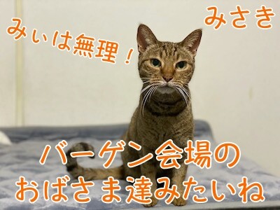 みさき386