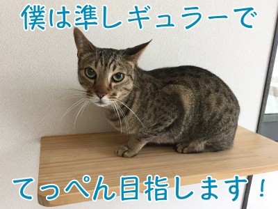 漣24