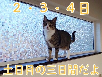 魚卵413