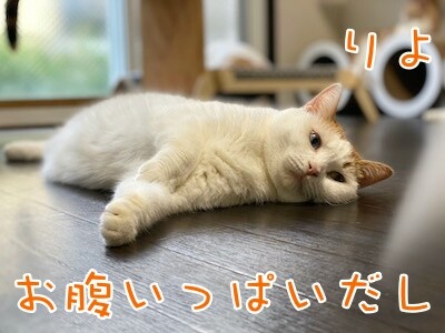 りよ27