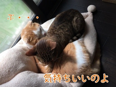 みんな919