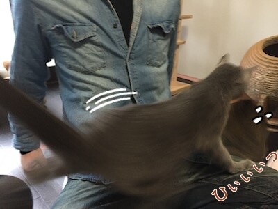 みんな2837