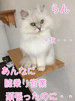 らん39