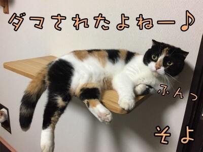 そよ149