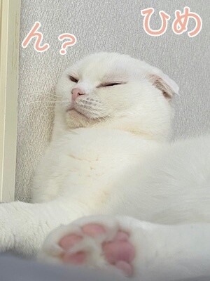 ひめ107