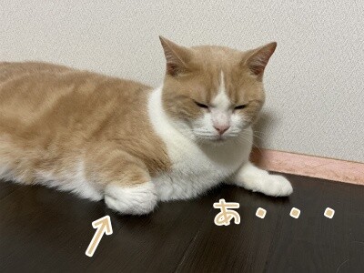 楓691