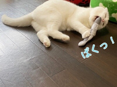 殿1023