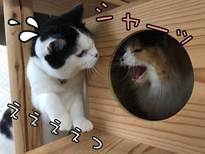 みんな708