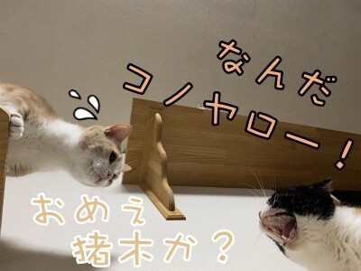 みんな1488