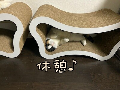 いよ592