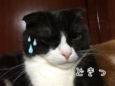 刻8