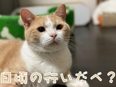 楓959