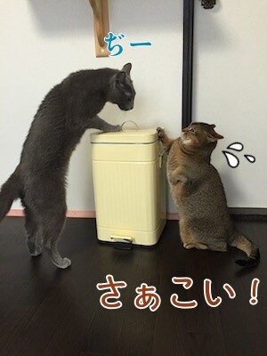 みんな2839