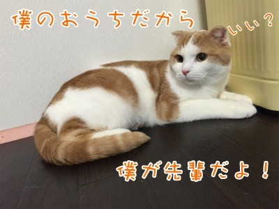 まお80