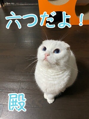 殿1025