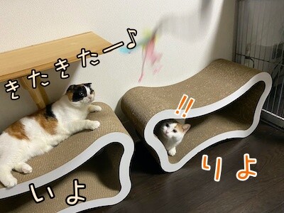 みんな615