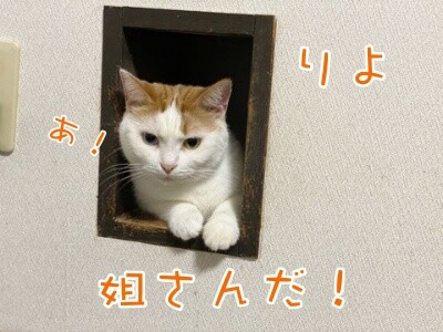 りよ270