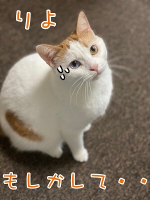 りよ256