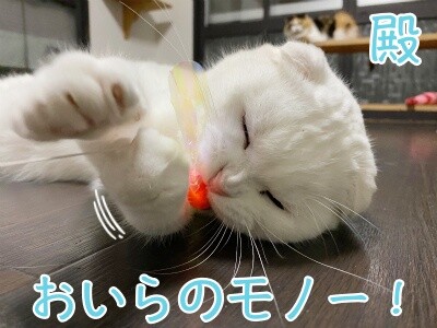 殿872
