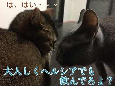 みんな480