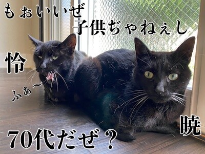 みんな306