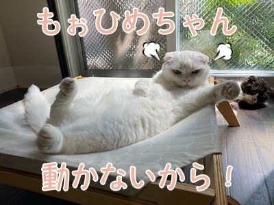 ひめ115