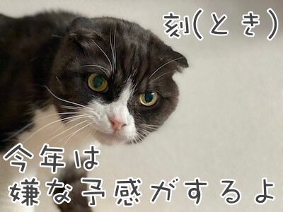 刻12