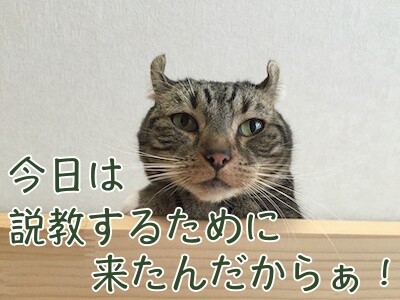 かな205