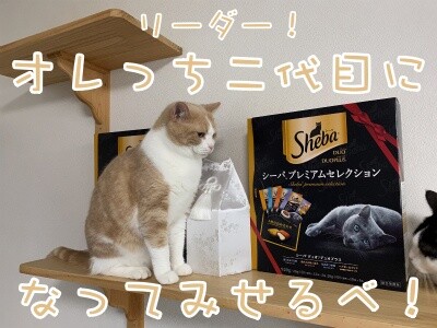 みんな1618