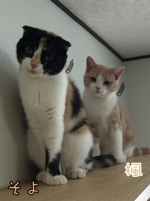 みんな257