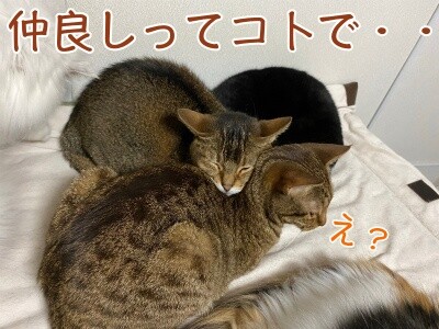 みんな1922