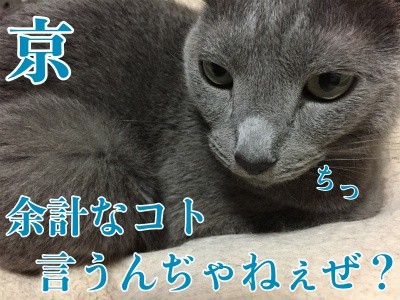 京245